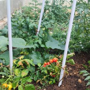 Prodaja 2 objekta kuća i apartman sa vrtom i pogledom na more