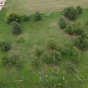 Prodajem građevinsko zemljište kod Tara, Rogovici