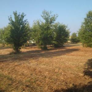 Prodajem građevinsko zemljište kod Tara, Rogovici