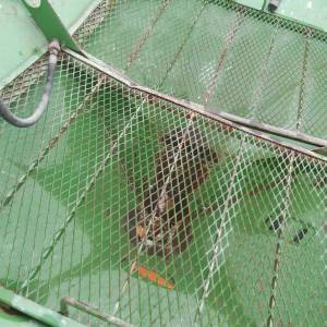 RASIPAČ ĐUBRIVA amazone  600 kg