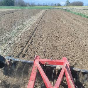 Tanjurača 28 diskova