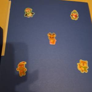 Tanki registrator bozićni