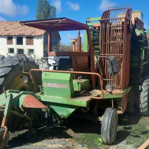 Vadilica za repu Guaresi