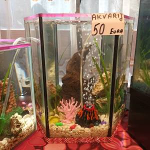 Akvarij kugla sa ribicama