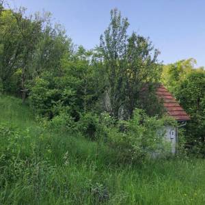 Brdovec - D. Laduč zemljište 2.143m2 i kućica 20m2 s priključcima