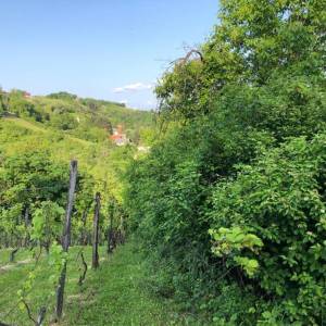 Brdovec - D. Laduč zemljište 2.143m2 i kućica 20m2 s priključcima