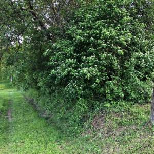 Brdovec - D. Laduč zemljište 2.143m2 i kućica 20m2 s priključcima