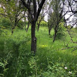 Brdovec - D. Laduč zemljište 2.143m2 i kućica 20m2 s priključcima