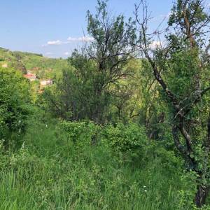 Brdovec - D. Laduč zemljište 2.143m2 i kućica 20m2 s priključcima