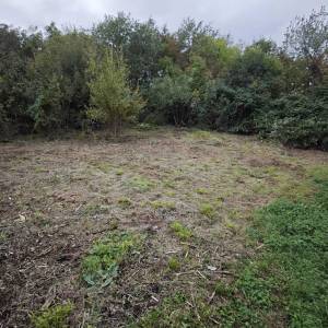 Čišćenje zaraslih zemljišta, krčenje parcela, košnja travnjaka