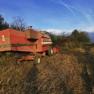 Deutz fahr M1302 Hidromat