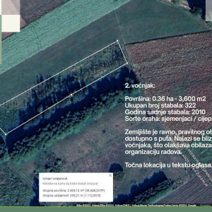 Eko voćnjaci Oraha 4.19 ha i 1.36 ha Podravske Sesvete – PRODAJA