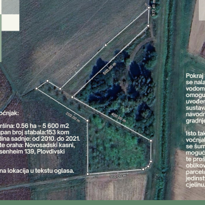 Eko voćnjaci Oraha 4.19 ha i 1.36 ha Podravske Sesvete – PRODAJA