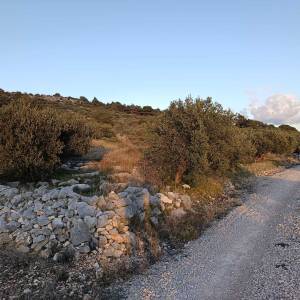 Građevinsko zemljište