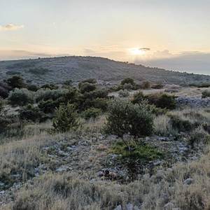 Građevinsko zemljište