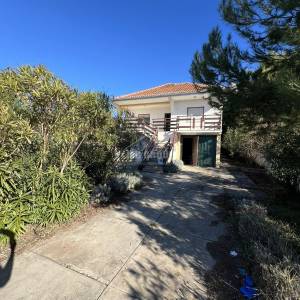 KUĆA PRVI RED DO MORA, IZVRSNA PRILIKA! BRGULJE – OTOK MOLAT