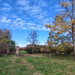 Kuća sa velikim dvorištem i baštom - Tenja