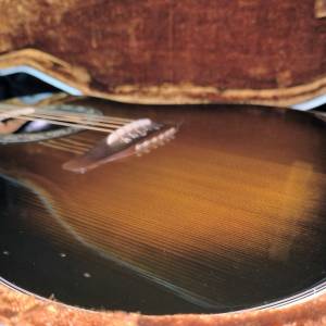 Ovation Glenn Cambell, raritet