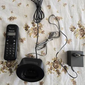 Panasonic nov zapakiran