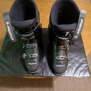 Pancerice Alpina-39-41br.