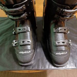 Pancerice Alpina-39-41br.