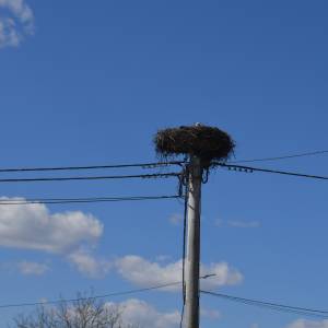 Prodaja građevin. zemljišta Jastrebarsko-Novaki Petrovinski - 803 m2 !