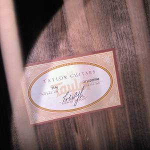 Taylor 114e gitara, top, torba