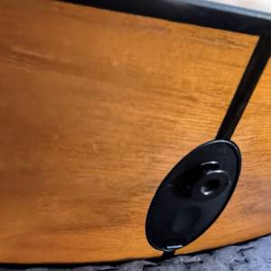 Taylor 114e gitara za lijevoruke