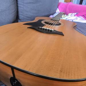 Taylor 114e gitara za lijevoruke