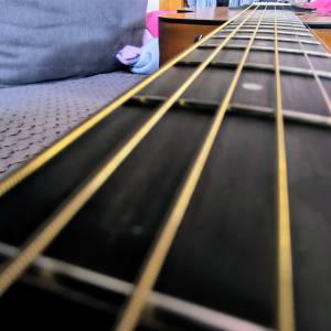 Taylor 114e gitara za lijevoruke