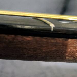 Taylor 214ce, novo, kofer