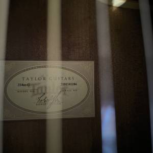 Taylor 214ce, novo, kofer