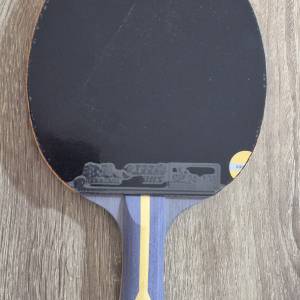 Vrhunski profesionalni DHS reket i Hurricane natjecateljske gume -novo