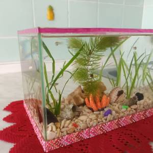 Akvarij šesterokutni, 19 litara