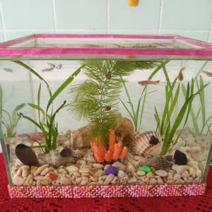 Akvarij šesterokutni, 19 litara