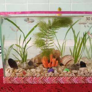 Akvarij šesterokutni