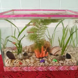 Akvarij šesterokutni