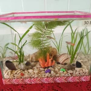 Akvarij šesterokutni