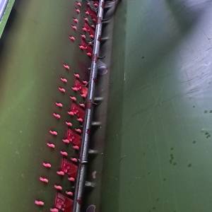 Amazone D8-25 Special