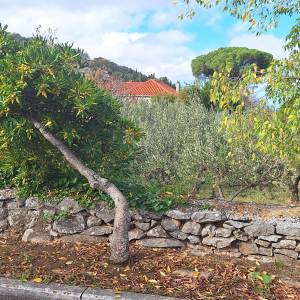 Brač, Nerežišća, građevno zemljište za prodaju,kmpletna infrastruktura