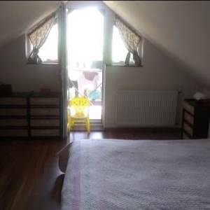 Budinščina - Krapinica, vikend kuća 90m2 na parceli 4.575m2, garaža