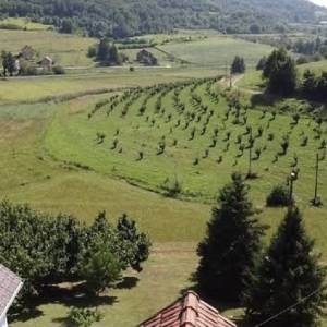 Budinščina - Krapinica, vikend kuća 90m2 na parceli 4.575m2, garaža