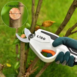 Električne Aku Škare: Komplet s Baterijom i Punjačem