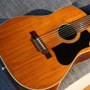 Gitara HOFNER model 492 (4900), 12 žica, iz 1964, antikvitet