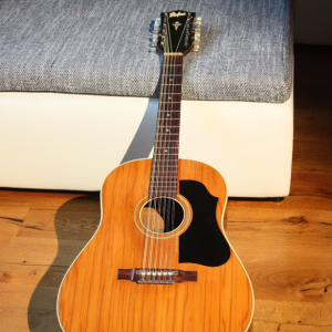 Gitara HOFNER model 492 (4900), 12 žica, iz 1964, antikvitet