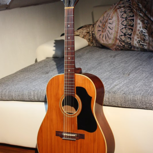 Gitara HOFNER model 492 (4900), 12 žica, iz 1964, antikvitet