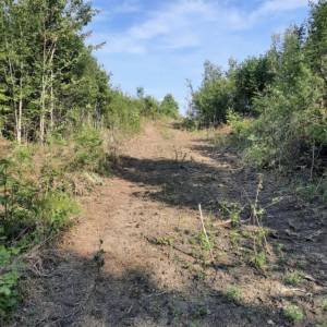 Građevinsko zemljište, blizina Plitvičkih jezera, Stara Kršlja, 20.077