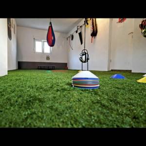 Individualni nogometni trener