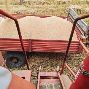 Kombajn u odličnom stanju