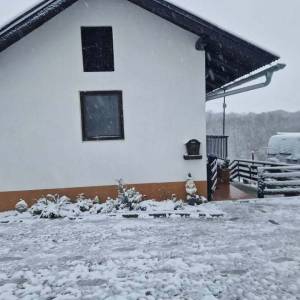 Kuća na osami,5000kvadrata,blizina Toplica i autoputa